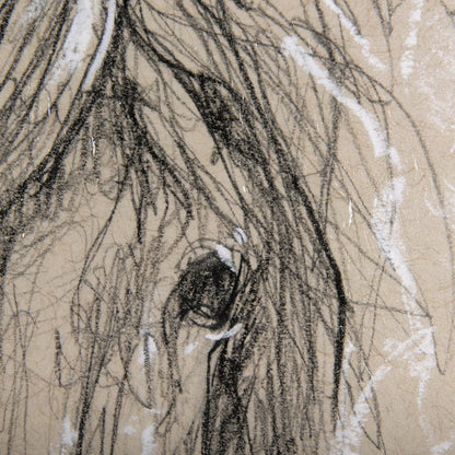 Mercana - Sketch of Animal VI Pony by Mercana Studio Hand Embellished Framed Art Print Matted under Glass - 14478 view 6