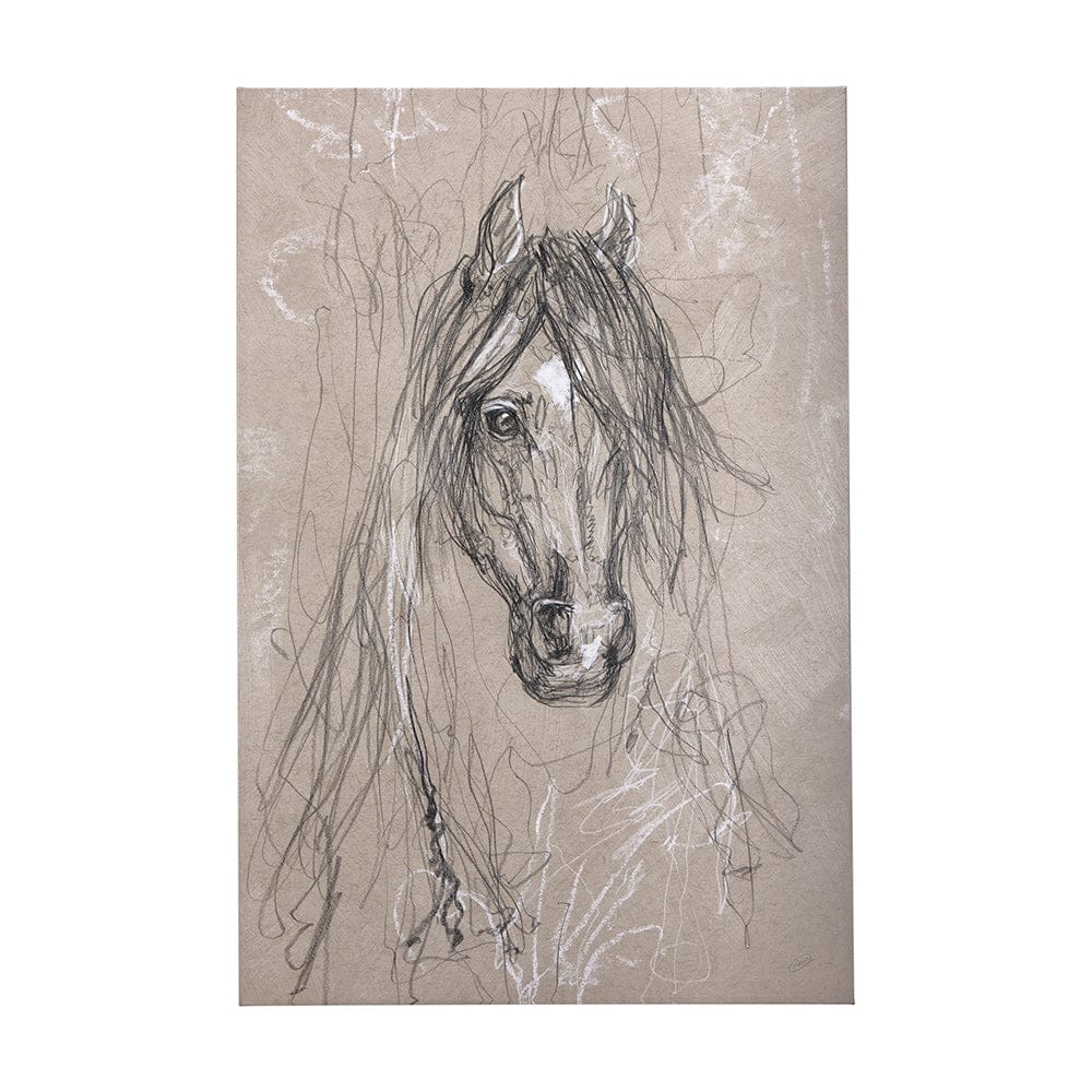 Mercana - Sketch of animal VII Horse by Mercana Studio a Hand Embellished Textured Canvas - 102356-L view 1