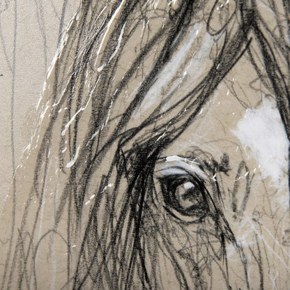 Mercana - Sketch of Animal VII Horse by Mercana Studio a Hand Embellished Textured Framed Art Print - 14479 view 7