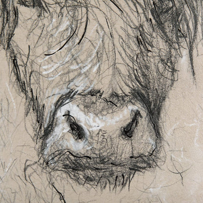 Mercana - Sketch of Animal VIII by Mercana Studio Hand Embellished Framed Art Print Matted under Glass - 14486 view 6