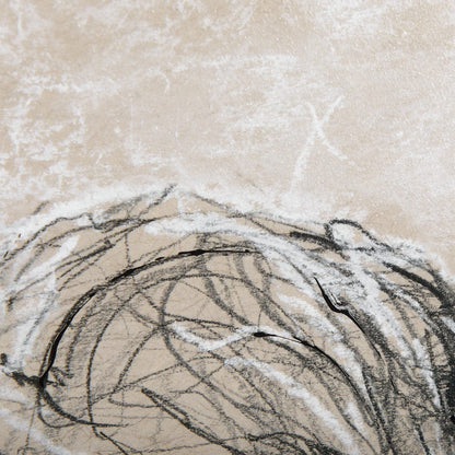 Mercana - Sketch of Animal VIII by Mercana Studio Hand Embellished Framed Art Print Matted under Glass - 14486 view 7
