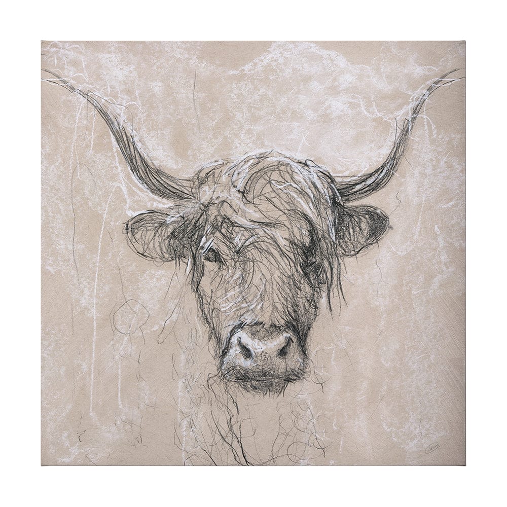Mercana - Sketch of animal VIII Highland bull by Mercana Studio a Hand Embellished Textured Canvas - 102357-L view 1