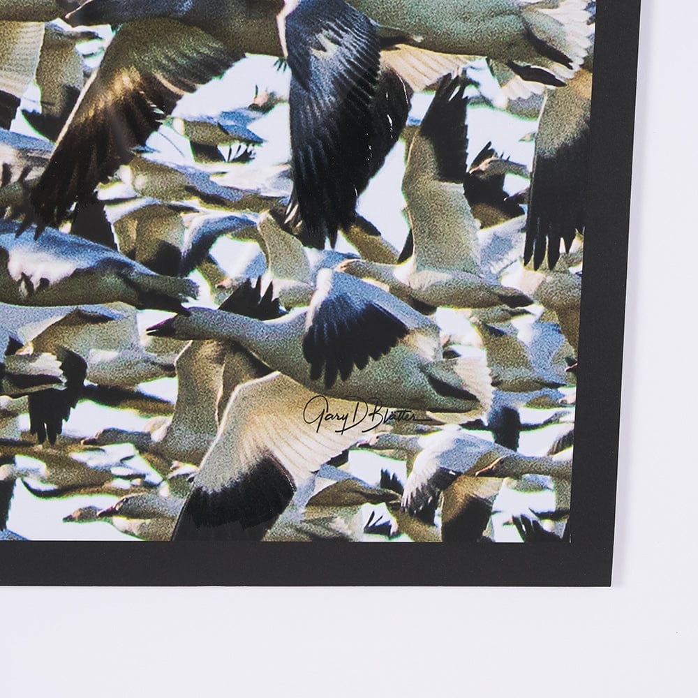 Mercana - Snowgoose Migration 1 by Gary Blatter Hand Embellished Textured Framed Art Print Matted under Glass - 15399 view 6