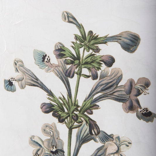 Mercana - Soft Blue Botanoicals III by Mercana Studio Hand Embellished Framed Art Print Matted under Glass - 13966 view 2