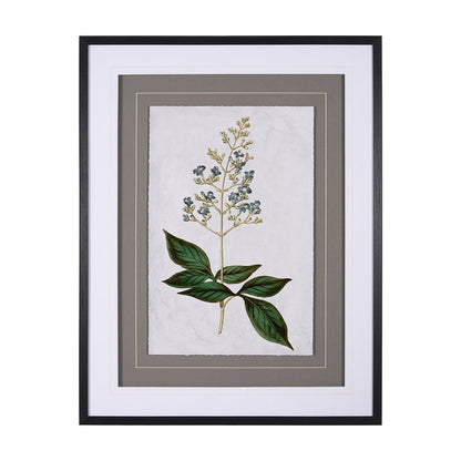 Mercana - Soft Blue Botanoicals IV by Mercana Studio Hand Embellished Framed Art Print Matted under Glass - 13967 view 1