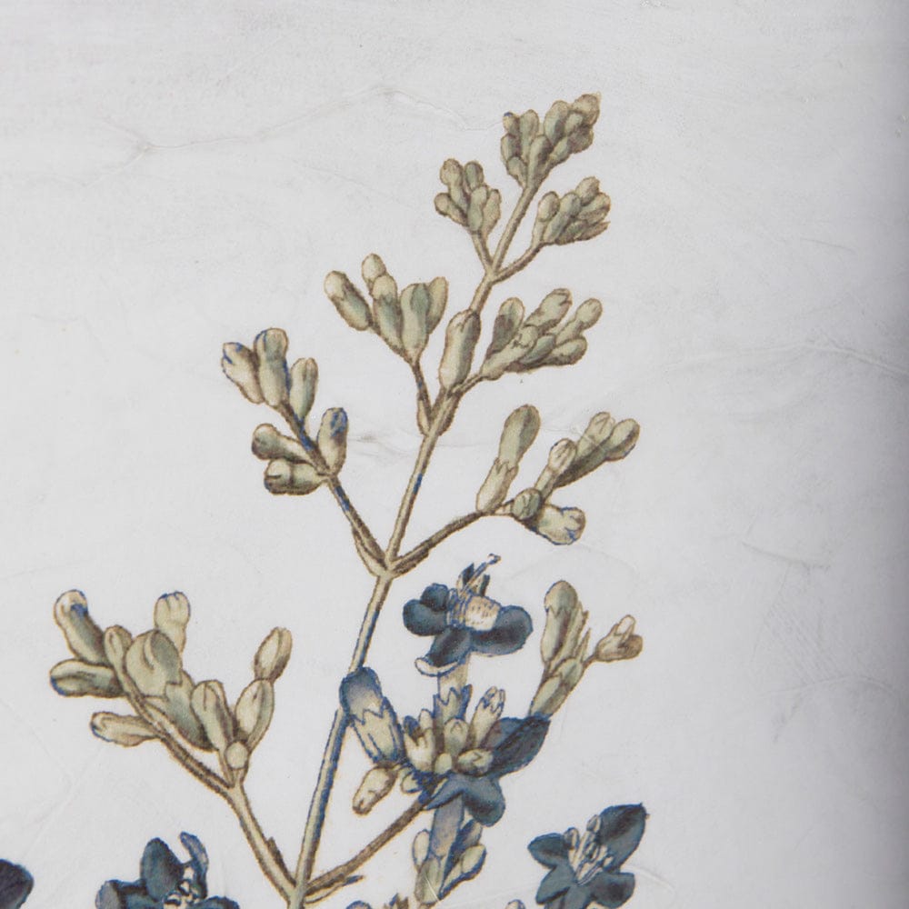 Mercana - Soft Blue Botanoicals IV by Mercana Studio Hand Embellished Framed Art Print Matted under Glass - 13967 view 3