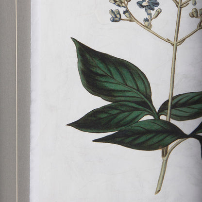 Mercana - Soft Blue Botanoicals IV by Mercana Studio Hand Embellished Framed Art Print Matted under Glass - 13967 view 4