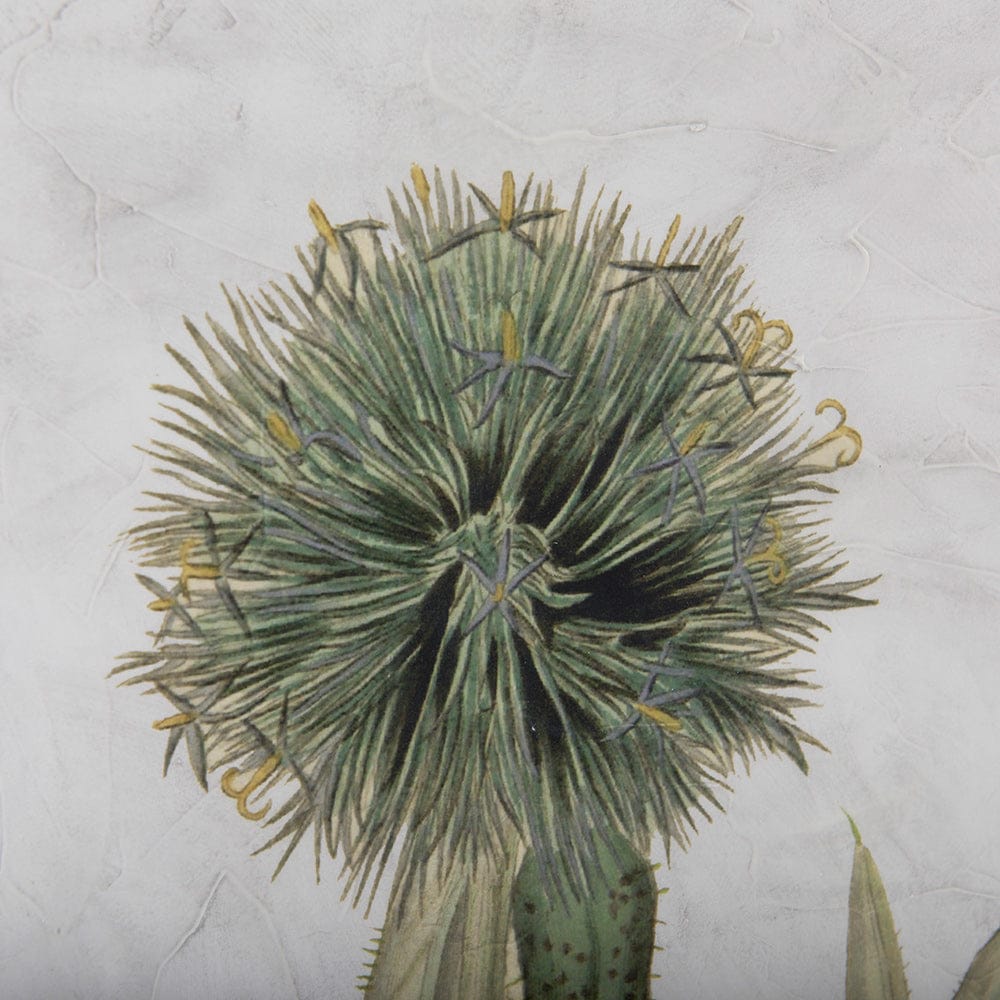 Mercana - Soft Blue Botanoicals VI by Mercana Studio Hand Embellished Framed Art Print Matted under Glass - 13969 view 3
