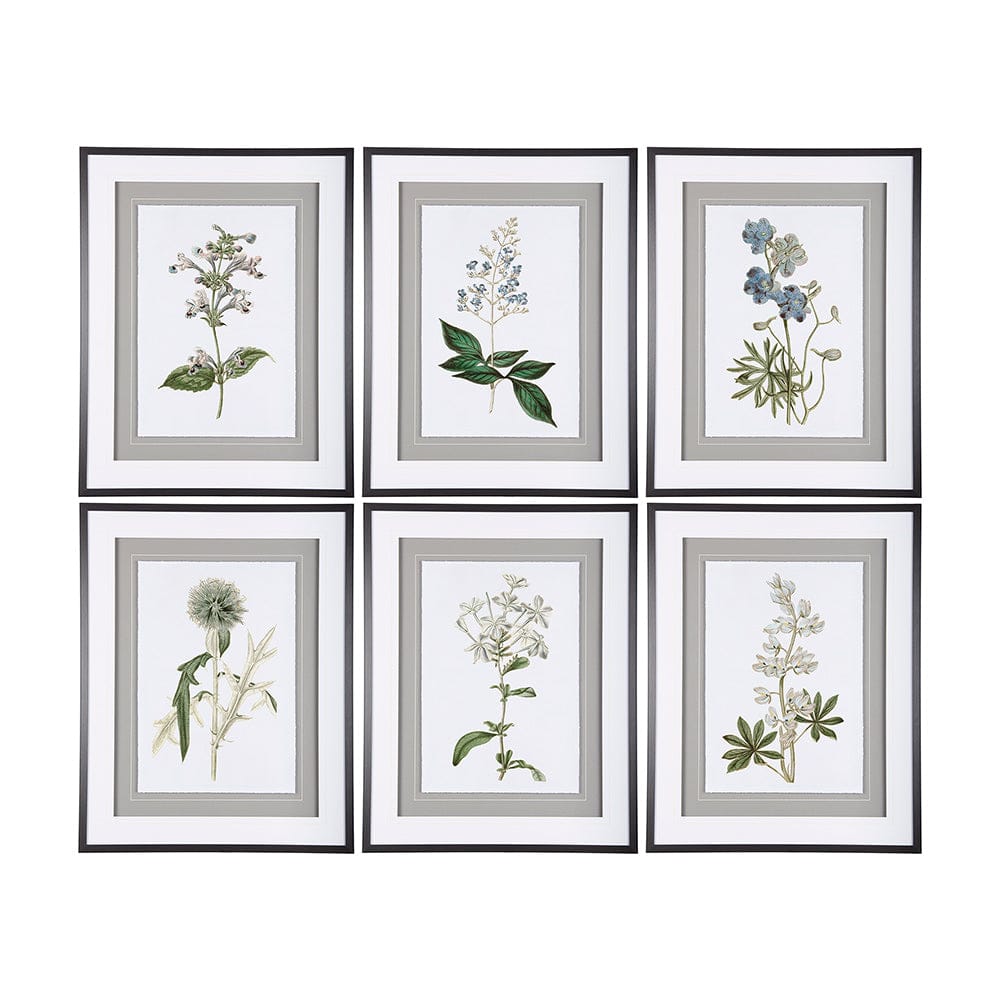 Mercana - Soft Blue Botanoicals VI by Mercana Studio Hand Embellished Framed Art Print Matted under Glass - 13969 view 9