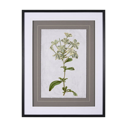 Mercana - Soft Blue Botanoicals VII by Mercana Studio Hand Embellished Framed Art Print Matted under Glass - 13970 view 1