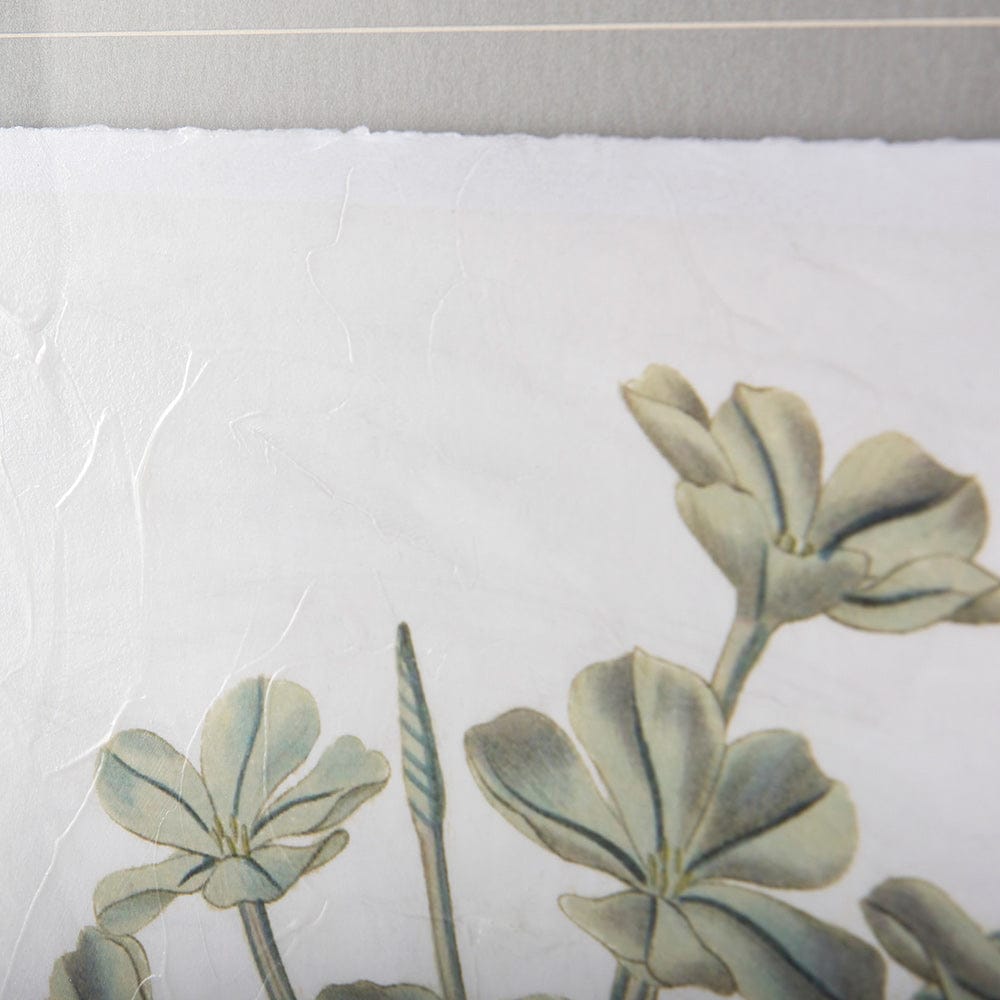 Mercana - Soft Blue Botanoicals VII by Mercana Studio Hand Embellished Framed Art Print Matted under Glass - 13970 view 4