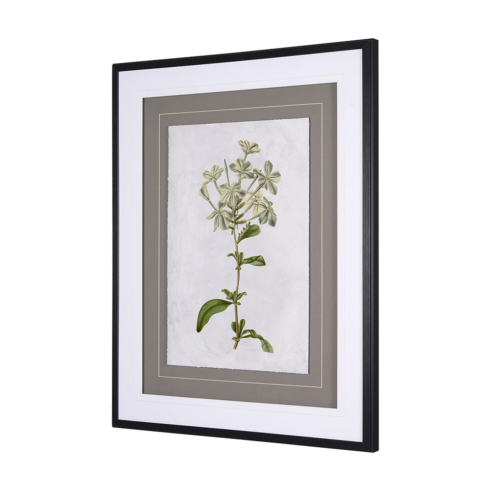 Mercana - Soft Blue Botanoicals VII by Mercana Studio Hand Embellished Framed Art Print Matted under Glass - 13970 view 5