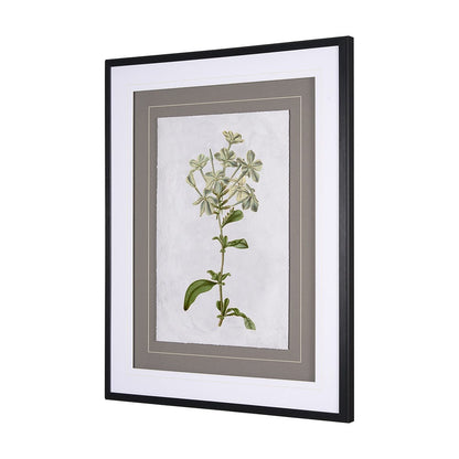 Mercana - Soft Blue Botanoicals VII by Mercana Studio Hand Embellished Framed Art Print Matted under Glass - 13970 view 5