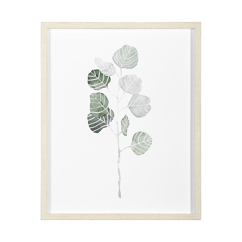 Mercana - Soft Eucalyptus Branch I by Emma Scarvey Hand Embellished Framed Art Print Matted under Glass - 13365 view 1