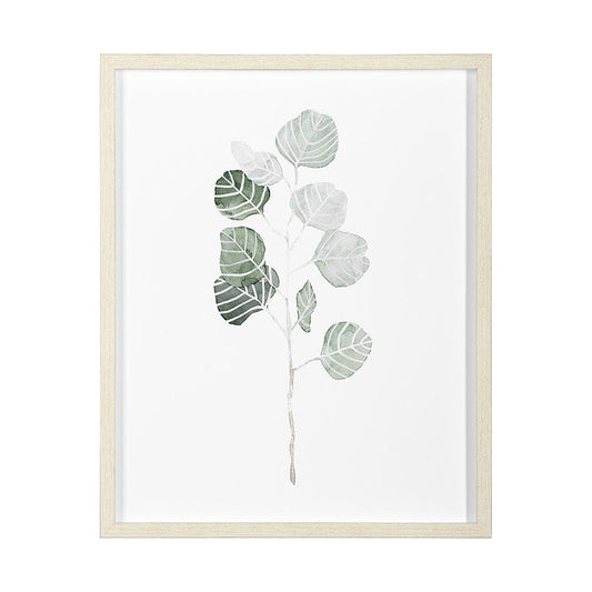 Mercana - Soft Eucalyptus Branch I by Emma Scarvey Hand Embellished Framed Art Print Matted under Glass - 13365 view 1