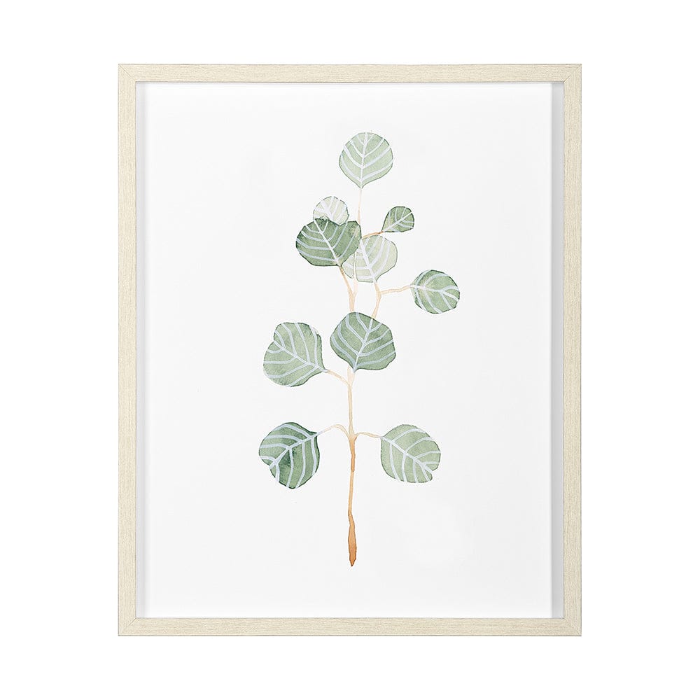 Mercana - Soft Eucalyptus Branch II by Emma Scarvey Hand Embellished Framed Art Print Matted under Glass - 13366 view 1