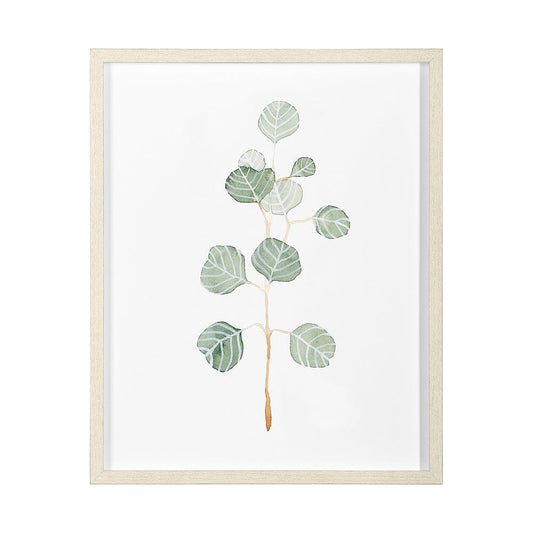 Mercana - Soft Eucalyptus Branch II by Emma Scarvey Hand Embellished Framed Art Print Matted under Glass - 13366 view 1