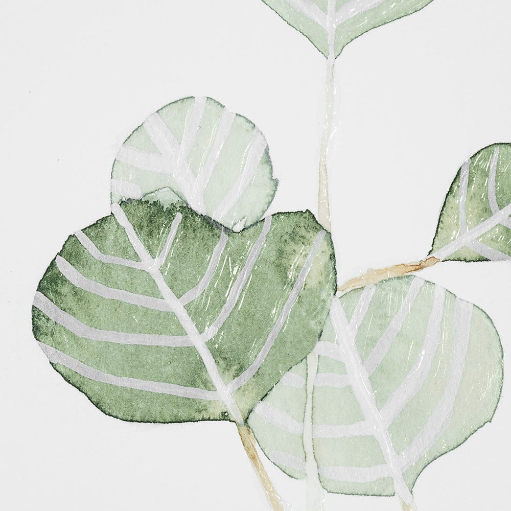 Mercana - Soft Eucalyptus Branch II by Emma Scarvey Hand Embellished Framed Art Print Matted under Glass - 13366 view 7