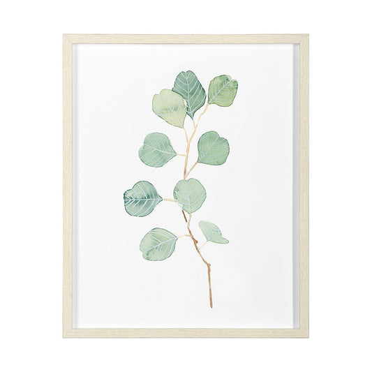 Mercana - Soft Eucalyptus Branch IV by Emma Scarvey Hand Embellished Framed Art Print Matted under Glass - 13368 view 1