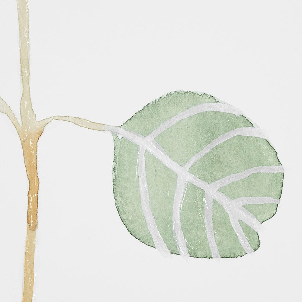 Mercana - Soft Eucalyptus Branch IV by Emma Scarvey Hand Embellished Framed Art Print Matted under Glass - 13368 view 6