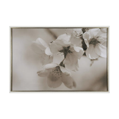 Mercana - Soft Petals II by Nancy Crowell a Hand Embellished Textured Framed Art Print Matted under Glass - 14766 view 1