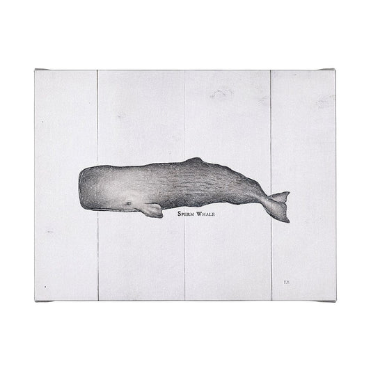 Mercana - Sperm Whale by Mercana Studio a Hand Embellished Textured Canvas - 101867-L view 1