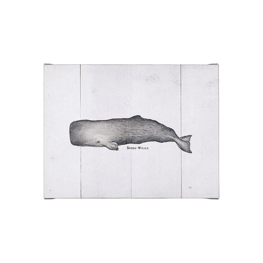 Mercana - Sperm Whale by Mercana Studio a Hand Embellished Textured Canvas - 101867-S view 1
