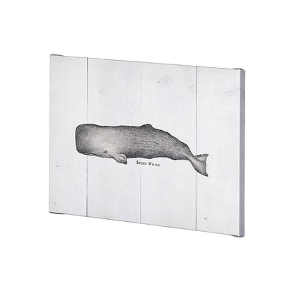 Mercana - Sperm Whale by Mercana Studio a Hand Embellished Textured Canvas - 101867-S view 2