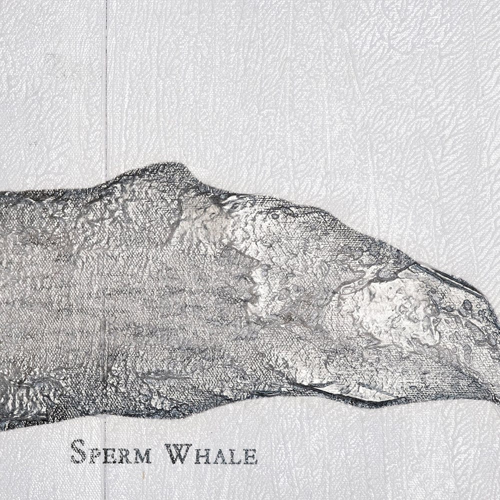 Mercana - Sperm Whale by Mercana Studio a Hand Embellished Textured Canvas - 101867-S view 4