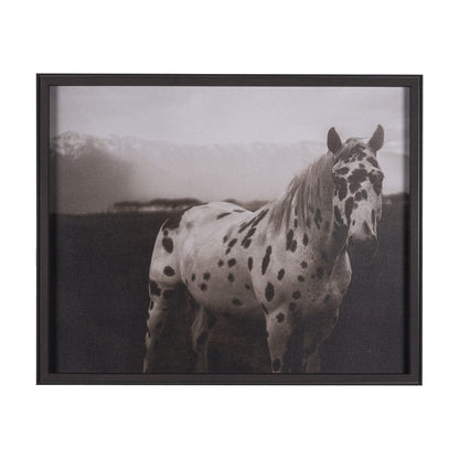Mercana - Spotted Solo Horse by Nathan Kane a Hand Embelished Textured Framed Art Print - 15274 view 1