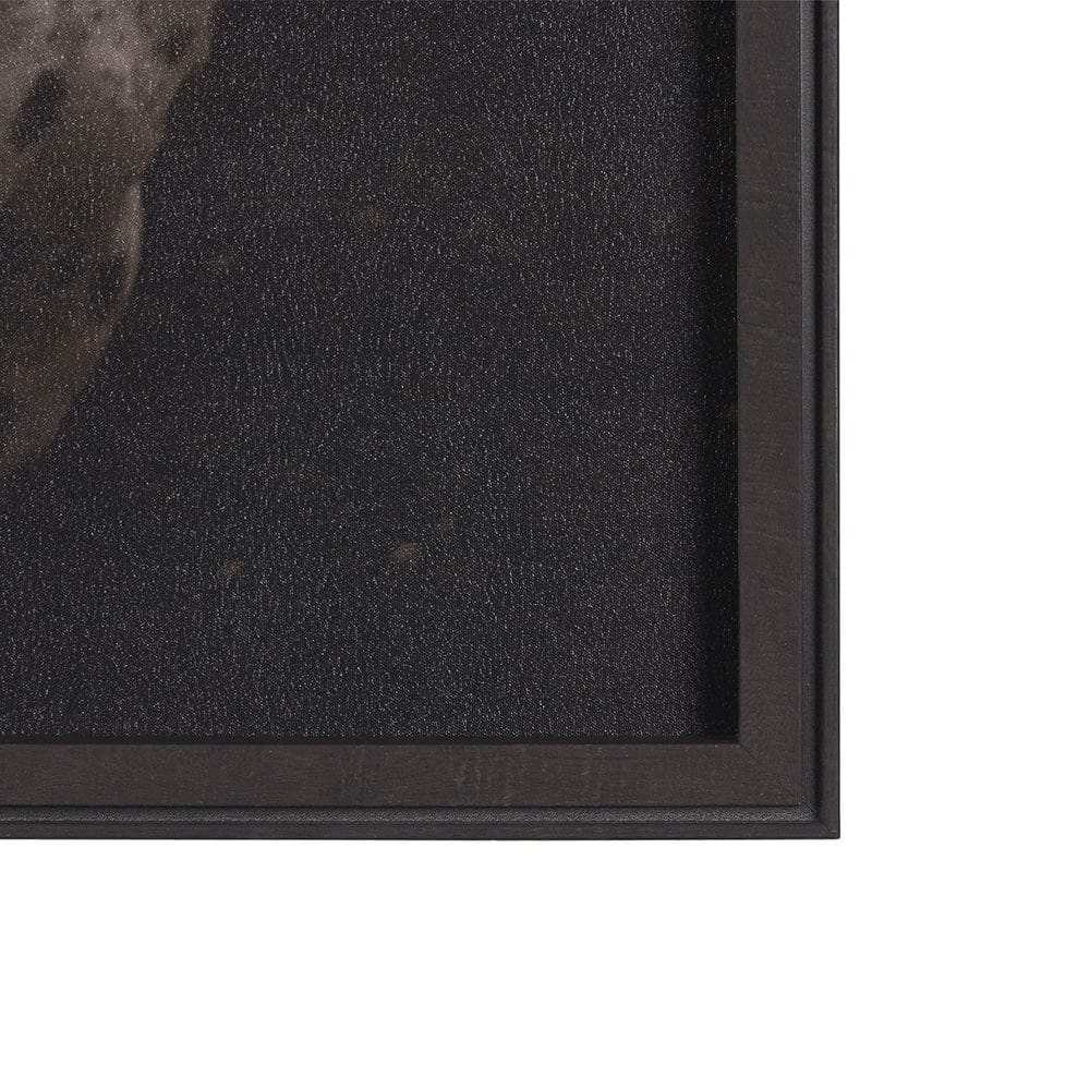 Mercana - Spotted Solo Horse by Nathan Kane a Hand Embelished Textured Framed Art Print - 15274 view 3