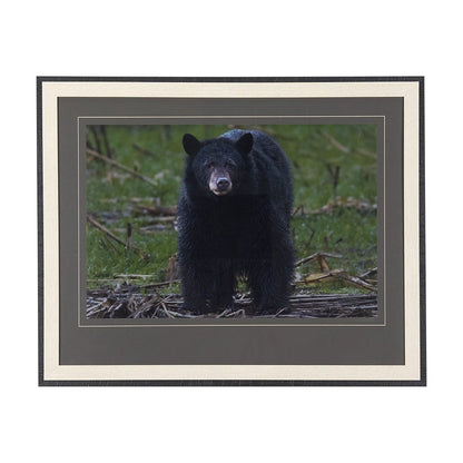 Mercana - Standing Bear by Chad Mackay a Hand Embellished Textured Framed Art Print Matted under Glass - 14362 view 1