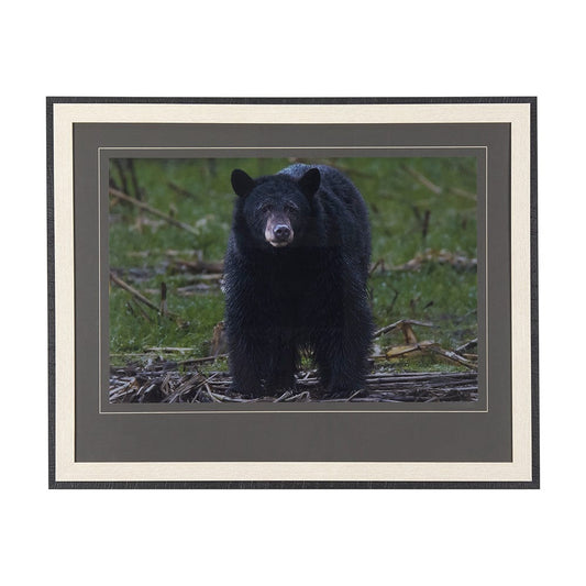 Mercana - Standing Bear by Chad Mackay a Hand Embellished Textured Framed Art Print Matted under Glass - 14362 view 1
