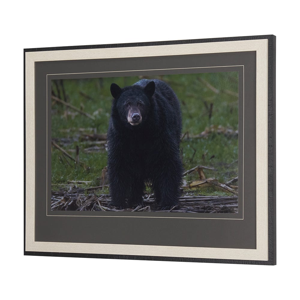 Mercana - Standing Bear by Chad Mackay a Hand Embellished Textured Framed Art Print Matted under Glass - 14362 view 5