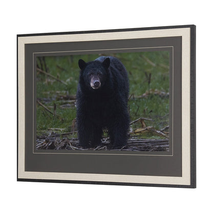 Mercana - Standing Bear by Chad Mackay a Hand Embellished Textured Framed Art Print Matted under Glass - 14362 view 5