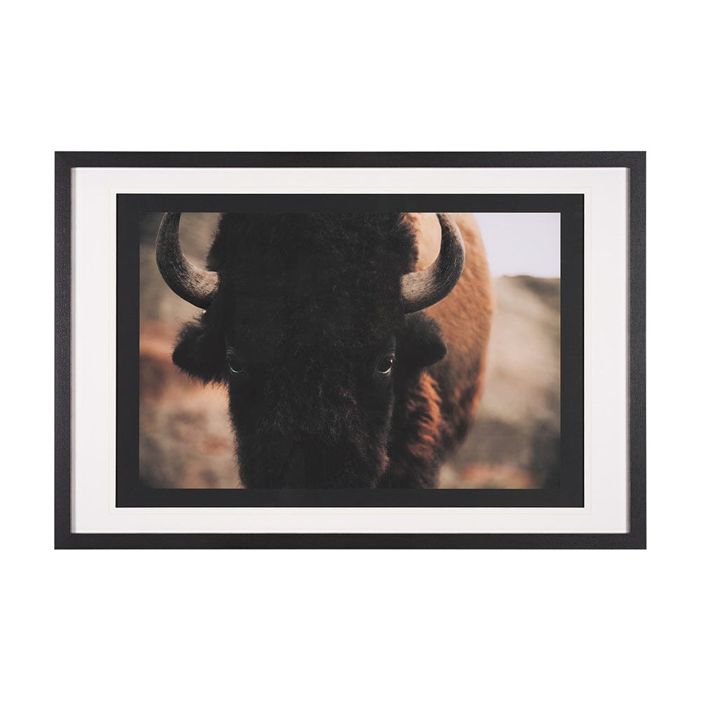 Mercana - Stare Down by Chad Mackay a Hand Embelished Textured Framed Art Print Matted under Glass - 15215 view 1