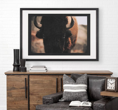 Mercana - Stare Down by Chad Mackay a Hand Embelished Textured Framed Art Print Matted under Glass - 15215 view 9