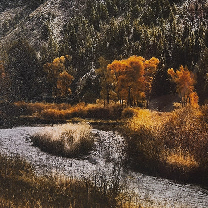 Mercana - Summit Trail by Bobbie Goodrich a Hand Embellished Framed Art Print Matted under Glass - 15569 view 6