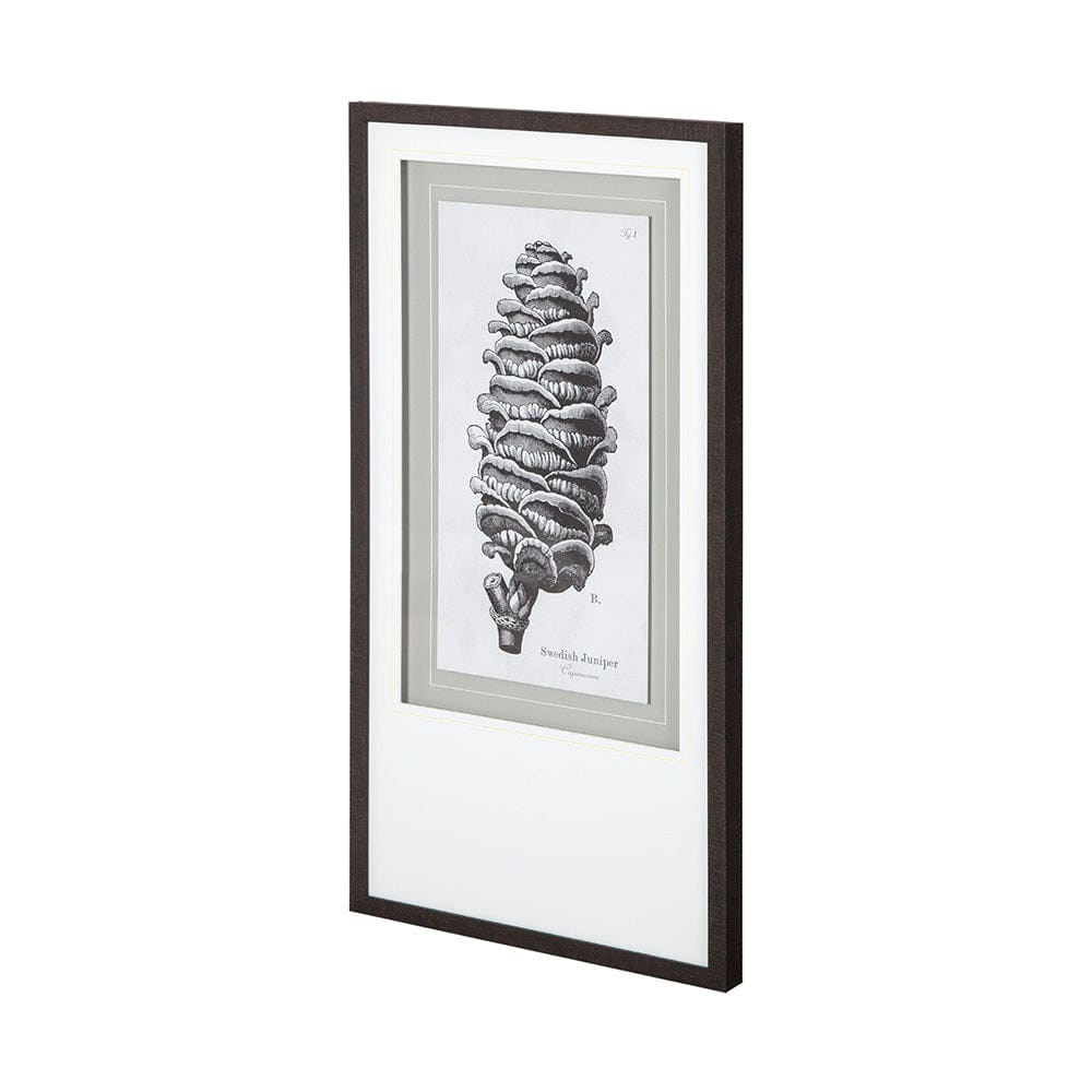 Mercana - Swedish Juniper by Maria Mendez a Framed Art Print Matted under Glass - 12060 view 1