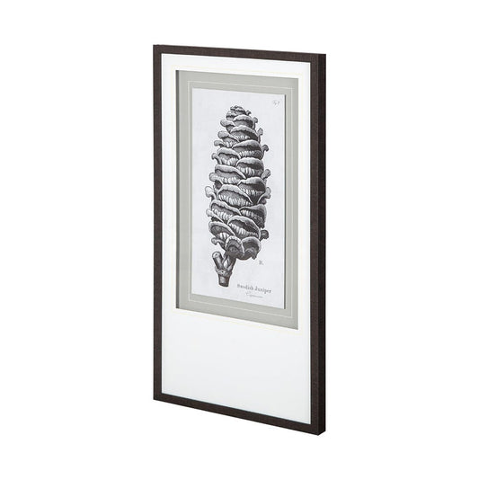 Mercana - Swedish Juniper by Maria Mendez a Framed Art Print Matted under Glass - 12060 view 1