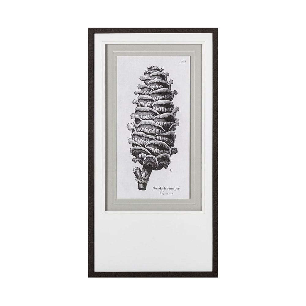 Mercana - Swedish Juniper by Maria Mendez a Framed Art Print Matted under Glass - 12060 view 3