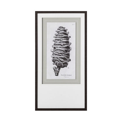 Mercana - Swedish Juniper by Maria Mendez a Framed Art Print Matted under Glass - 12060 view 3