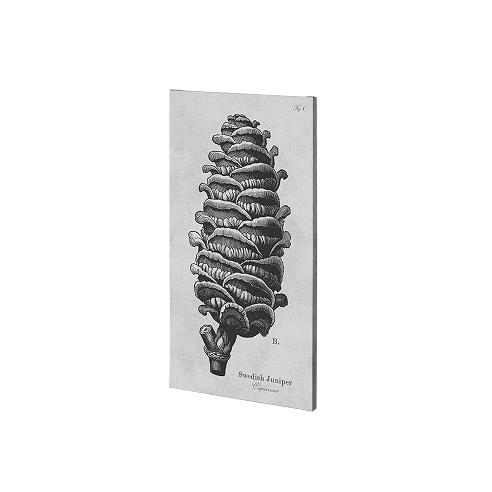 Mercana - Swedish Juniper by Mercana Studio a Hand Embellished Textured Canvas - 101044-S view 1