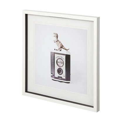 Mercana - T-rex & Vintage Camera by Susannah Tucker Photography a Framed Art Print Matted under Glass - 12079 view 2