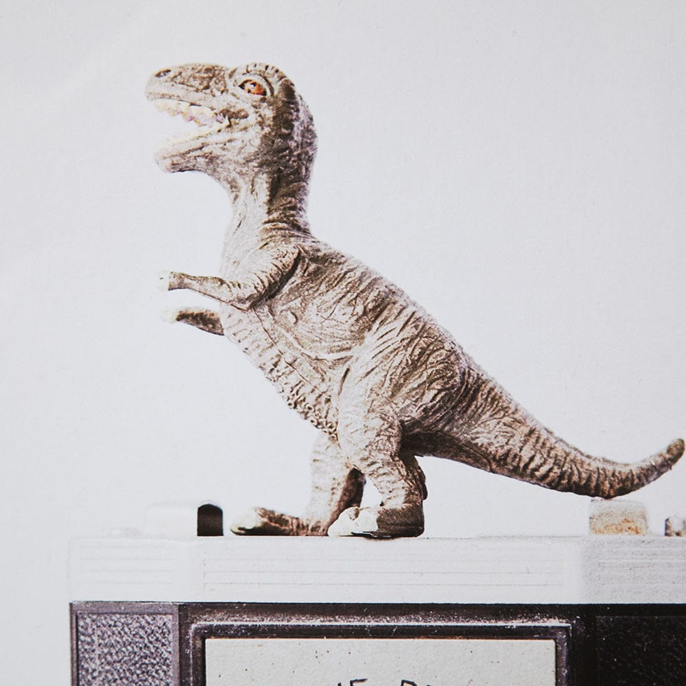 Mercana - T-rex & Vintage Camera by Susannah Tucker Photography a Framed Art Print Matted under Glass - 12079 view 5