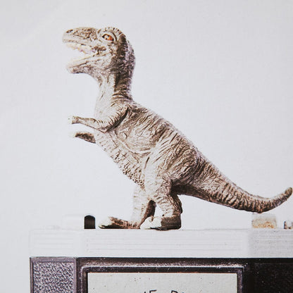 Mercana - T-rex & Vintage Camera by Susannah Tucker Photography a Framed Art Print Matted under Glass - 12079 view 5