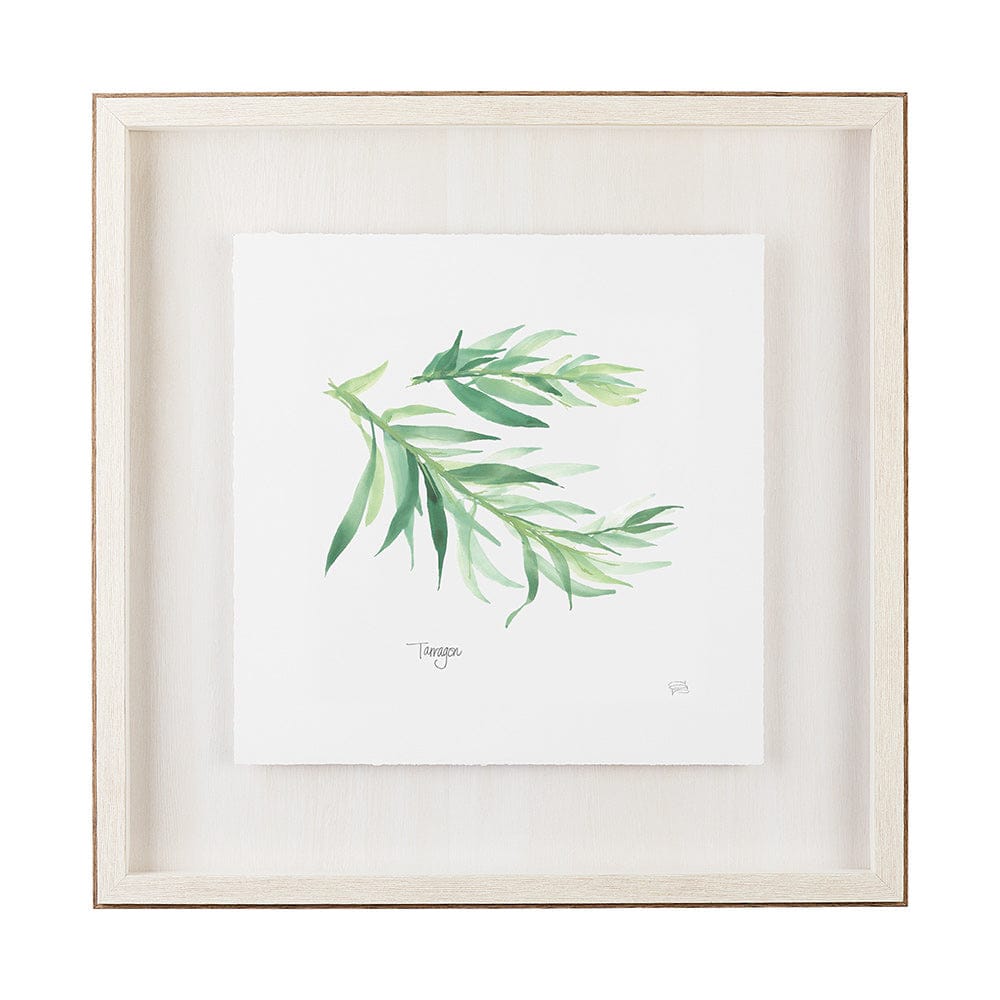 Mercana - Tarragon v2 by Chris Paschke a Framed Art Print Matted under Glass - 11345 view 1