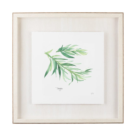 Mercana - Tarragon v2 by Chris Paschke a Framed Art Print Matted under Glass - 11345 view 1