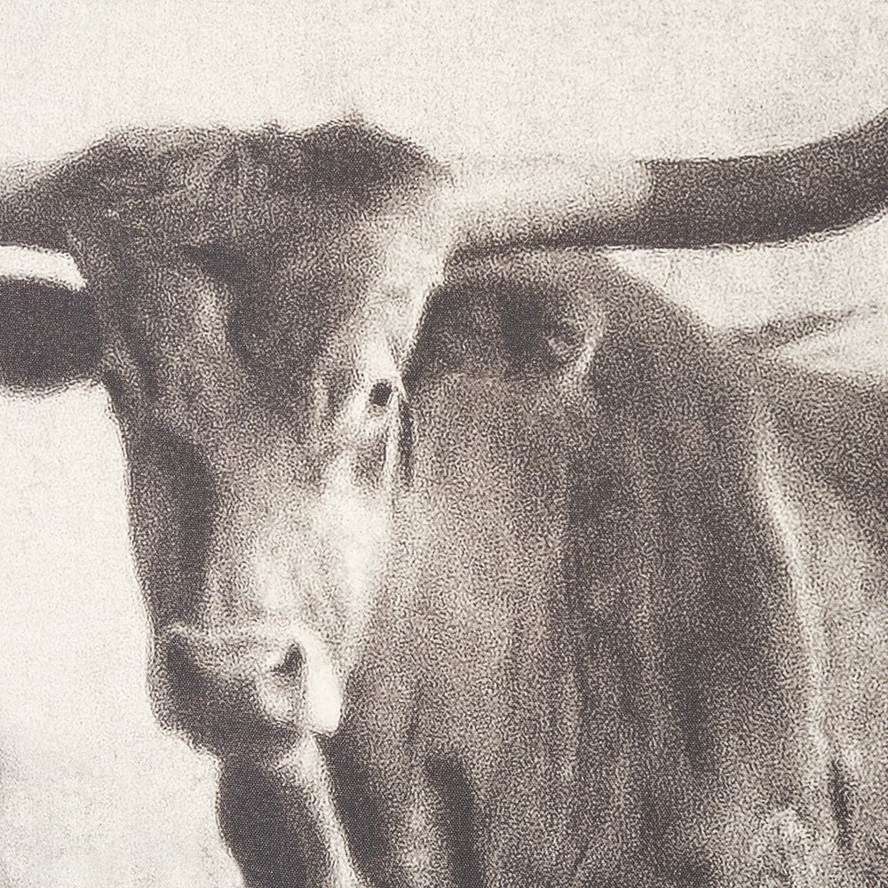 Mercana - Texas Longhorns by Debra Van Swearingen a Hand Embellished Framed Art Photograph Print (Set of 2) - 15470 view 7
