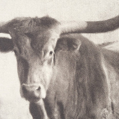 Mercana - Texas Longhorns by Debra Van Swearingen a Hand Embellished Framed Art Photograph Print (Set of 2) - 15470 view 7